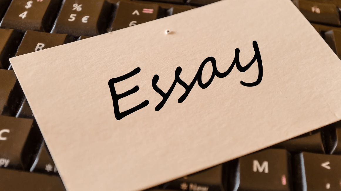 Academic Essay Refining