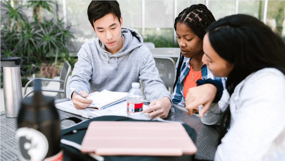 University & International Students
